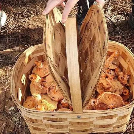 La Huerta De Los Nogales Herrera del Duque