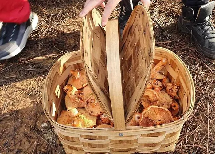 La Huerta De Nogales Herrera del Duque